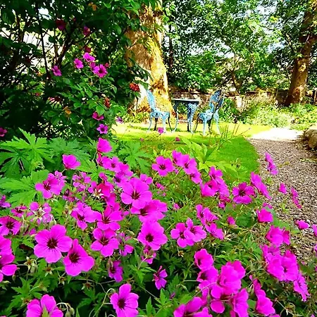 Riverside Bed and breakfast 3*