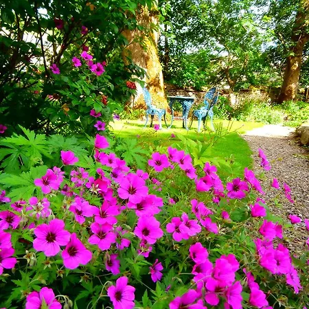 Bed and breakfast Riverside 3*