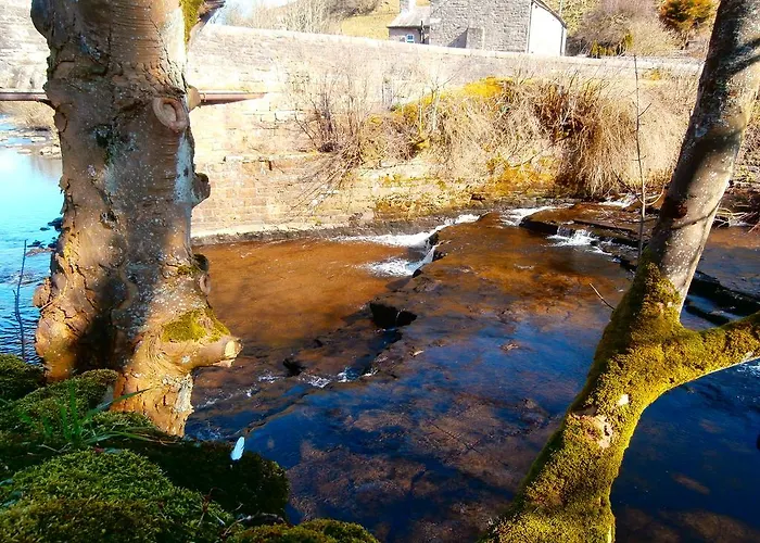 Bed & Breakfast Riverside 3*