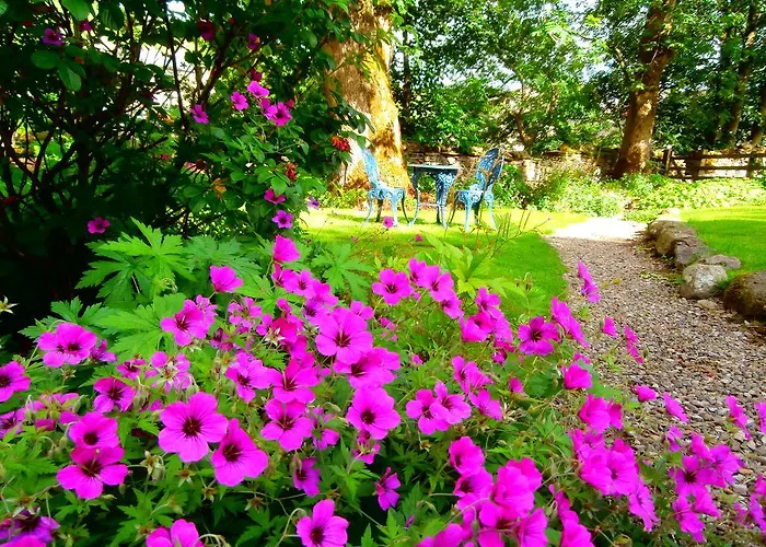 Bed & Breakfast Riverside 3*