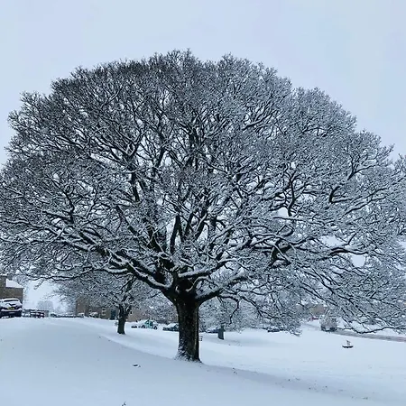 Riverside Отель типа 